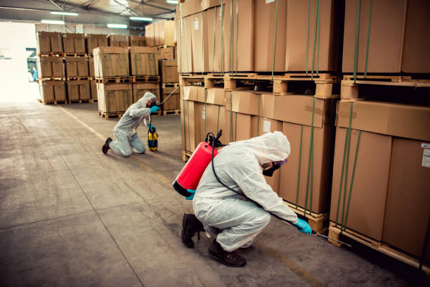 Best Local Pest Control Services  in Westgate, FL