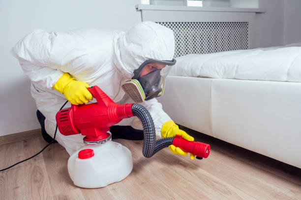 Best Pest Removal Services  in Westgate, FL