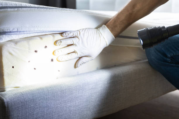 Best Bed Bug Extermination  in Westgate, FL