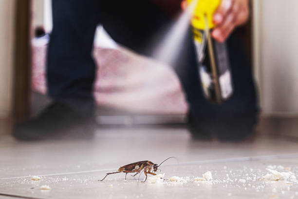 Best Affordable Exterminators  in Westgate, FL